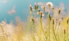 测一测：哪位特别的人能陪你共同品味日出，让你真正感受到他们对你的真爱