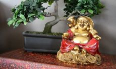 哪些方位的人在2023年兔年将会享有大利好运？