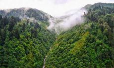 2022年11月1日:探索十二星座的能量与命运,查询今日星座运势!