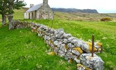 在十二星座中,哪个星座更容易获得身边人的协助和支持?