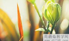 2022年哪个星座有可能取得学业上的高分成绩并荣登金榜?