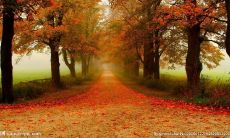 哪个星座外表看起来冷漠,实则内心情感丰富,不喜欢表达自己情绪?