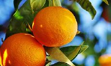 哪些星座会勇于在公共场合批评不文明行为?