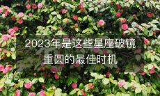 2023年将是这些星座重新修复破碎关系以重获幸福的最佳时机