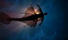 哪些星座注重速度而忽略了质量?