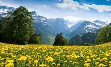 哪些星座的人倾向于展现出极为佛系的个性特点呢?