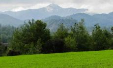 详细解读:2021年最佳婚姻运势之12星座中,哪些星座更有可能步入婚姻殿堂?