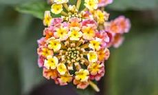 哪个星座在2022年的求职市场中最有福气?