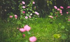 哪些星座在十二星座中非常珍惜财富、谨慎花钱?