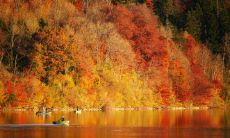 2022年5月全球十二星座的爱情运势排行榜: 谁能在爱情领域脱颖而出?