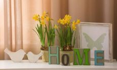 哪个星座的女孩命运最为优越?在十二星座中寻找答案