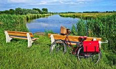 哪些星座总是缺乏毅力,容易半途而废、做事不坚定?