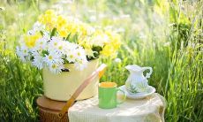 哪些星座在没有主意和想法时容易束手无策?