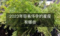 在2023年,哪些星座更加容易受孕:一项探究宇宙运行和生殖力的研究