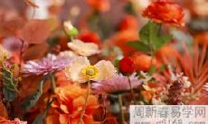 哪些星座女人在注定会度过幸福的第二次婚姻?