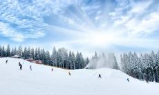 四大星座因其独立性备受青睐：人们所钟爱的星宿