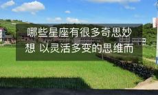 哪些星座凭借灵活多变的思维,闻名于世,谙熟奇思妙想的艺术?