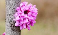 哪些星座女性在2022年会对其伴侣带来积极的影响?