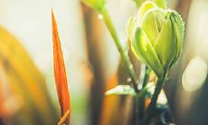 星座缺乏规划,随意应付事务,东拼西凑的行事风格