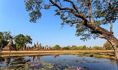 在十二星座中，哪个星座具备快速反应能力，在被骗前就能预感到危险？