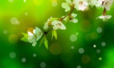 喜欢稳定职业成为教师的星座排行榜