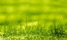 哪些星座的精力充沛并乐于早起,喜欢在一大早骚扰身边的朋友?