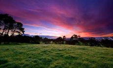 这些星座特别重视家庭，对待家人比对自己更加慷慨大方和细致关怀