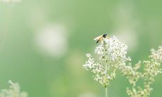 探究哪个星座可以顶住困难与挑战,心态满分完成任务,而不抱怨!