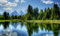 哪些性格平和的女孩可以像水一样静静流淌而无声无息？