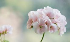 哪些十二星座的人总是处于不利命运下,无法获得好的机遇?