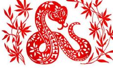 探寻属蛇男性的感情弱点:揭秘这些星座人面对爱情时的心理障碍