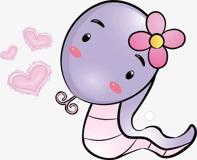 生肖蛇的结婚大利月