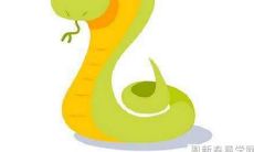 89年出生、属蛇、33岁的人,2022年的整年运势将会如何?