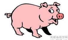 2022年1月:详解属猪男人恒久事业运势之发展状况与趋势分析