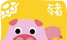 如何评估1983年出生的属猪女的整体财运状况并探究一生中贵人运势的影响?