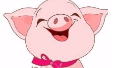 猪年属相者在2021年5月的运势与命运将如何展现?