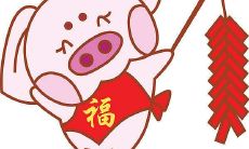 如何通过增加子女运势来提升生肖猪的命运?