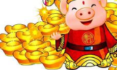 2021年生肖属猪的女性财运状况如何?是否应当谨慎止损?