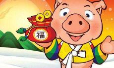 什么样的手机号尾号适合95年属猪的人使用?