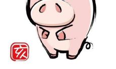 探寻生肖猪最适合从事何种职业,以充分发挥其潜能和优势?