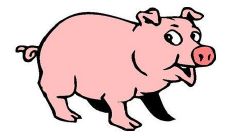 生肖猪的第几位伴侣拥有最为幸福的恋爱生活?