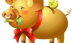 ?- What Kind of Men Will Attract the Heart of Female Pigs? What Are the Preferred Traits of Men for Female Pigs?