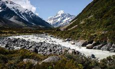 研究显示:2021年猪年出生的男性结婚后悔率达到何种程度?