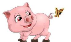 属猪人在2021年4月的事业运势如何,是否有所改善或进展?