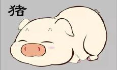 猪年出生者面对进入牛年的2021年，会有哪些影响和变化？