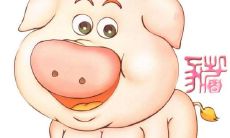 什么是最适合属猪人的婚姻配对属相?探究最佳婚姻组合!