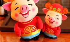 2022年下半年如何助力属猪人顺遂运势,让其顺风顺水,事业大获成功?