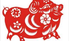 2022年属猪迎春接福：从打牌到财神方向，分析财运趋势