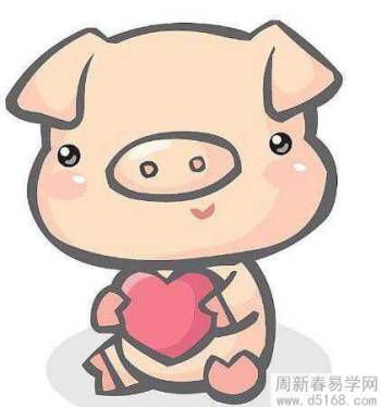 属猪男