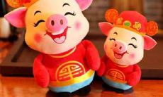 根据风水学，哪些月份是最适宜属猪的人结婚的大利月？